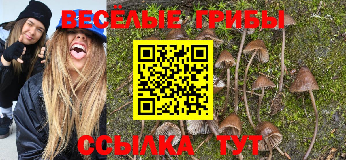 Борисоглебск  Псилоцибиновые грибы Cubensis  Вход с VPN  Галлюциногенные грибы GOLDEN TEACHER 