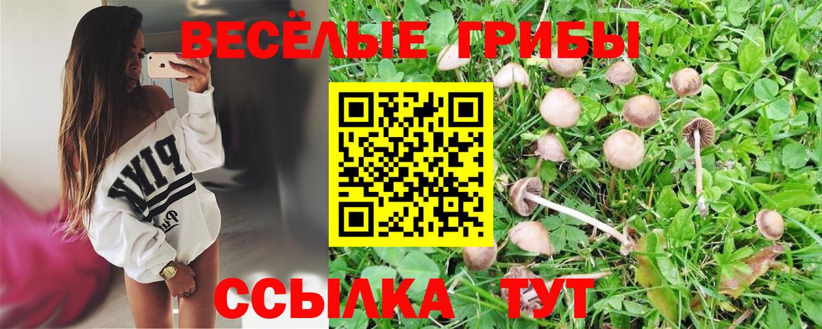 Псилоцибиновые грибы прущие грибы Борисоглебск